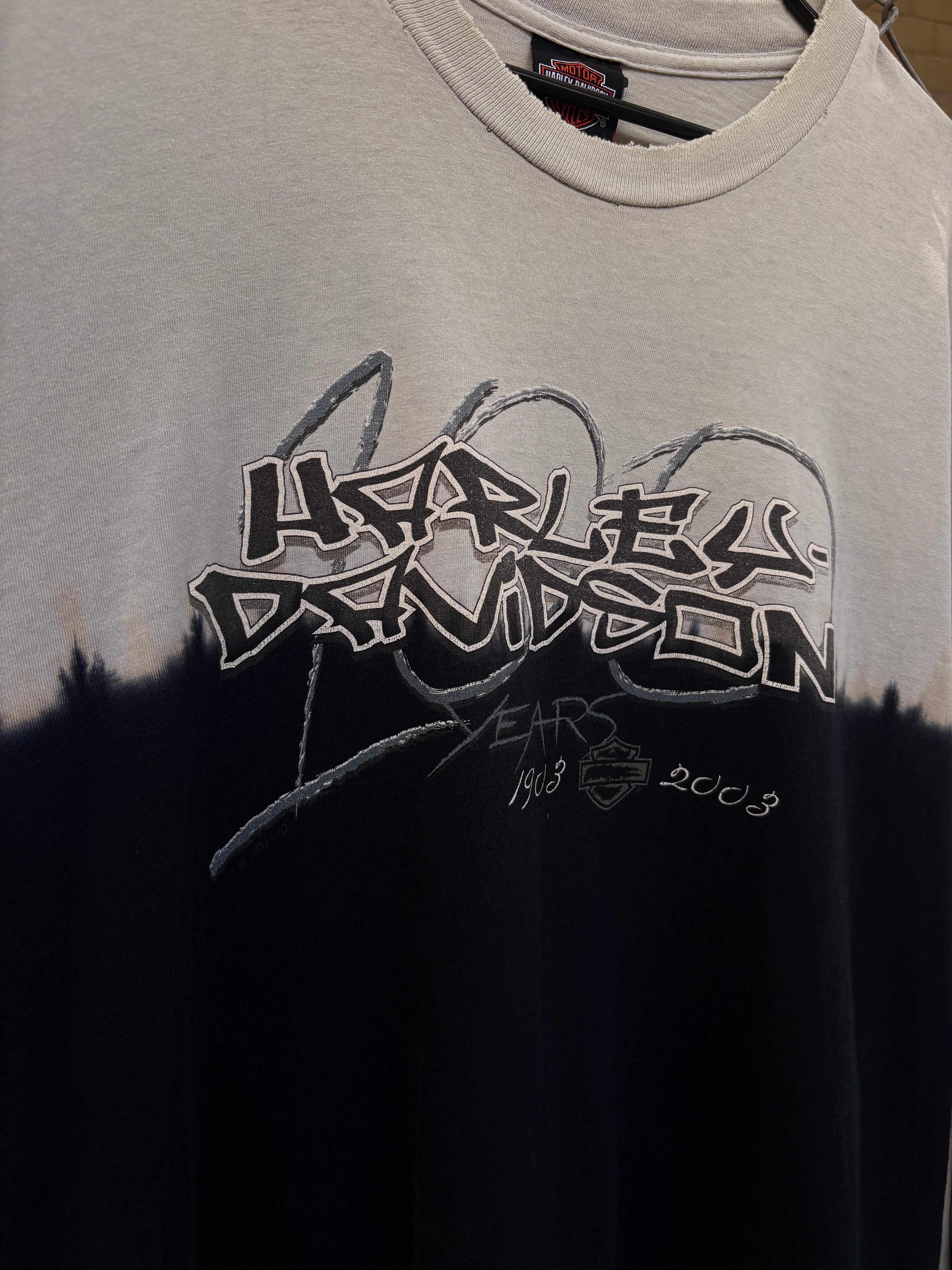 2003 BLEACH DYE LS