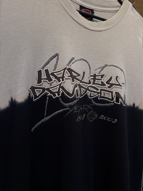 2003 BLEACH DYE LS