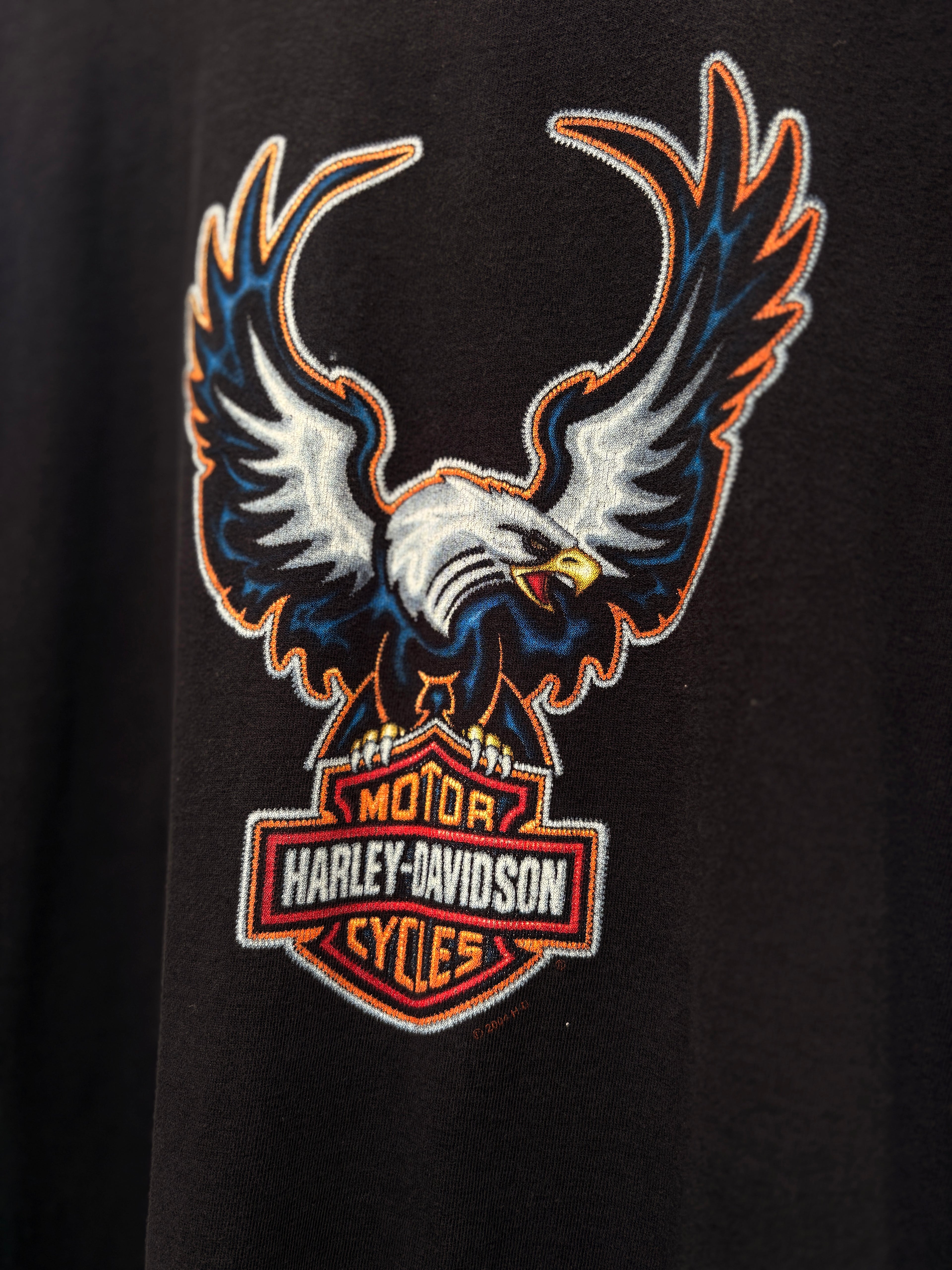 2004 EAGLE tee